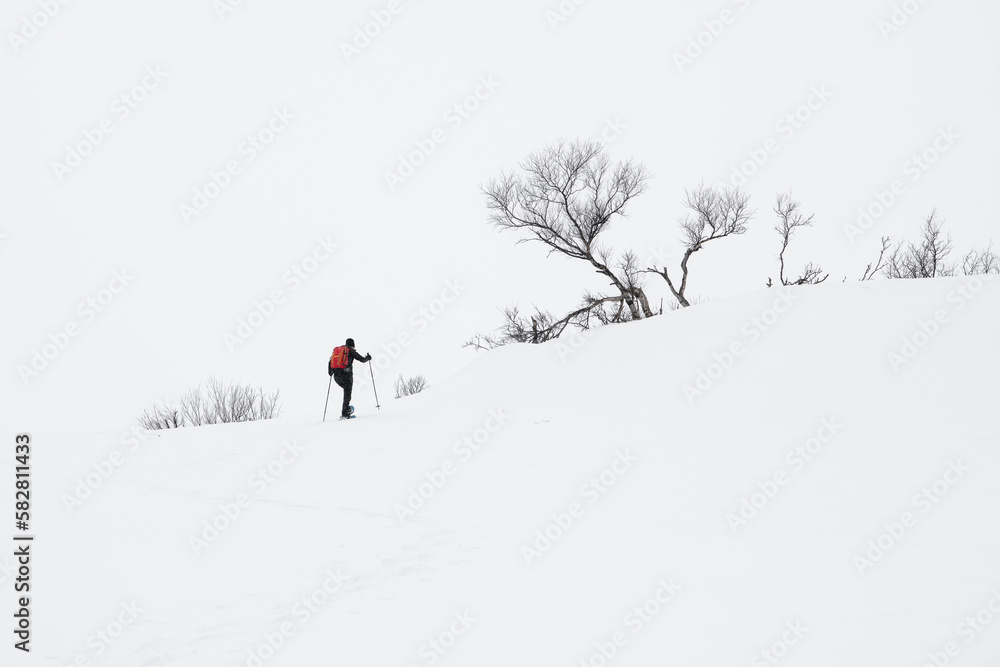  mit  Schneeschuhen den Bergen entgegen 
 in Norwegens Bergen - Schneeschuhtouren sind besonders an Tagen mit trüben  Wetter eine gute Alternative zum Skifahren
