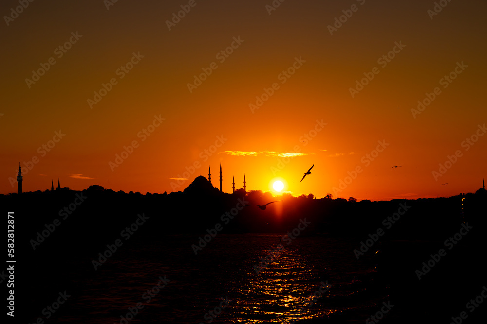Silhouette of Suleymaniye Mosque and seagull. Ramadan or islamic background