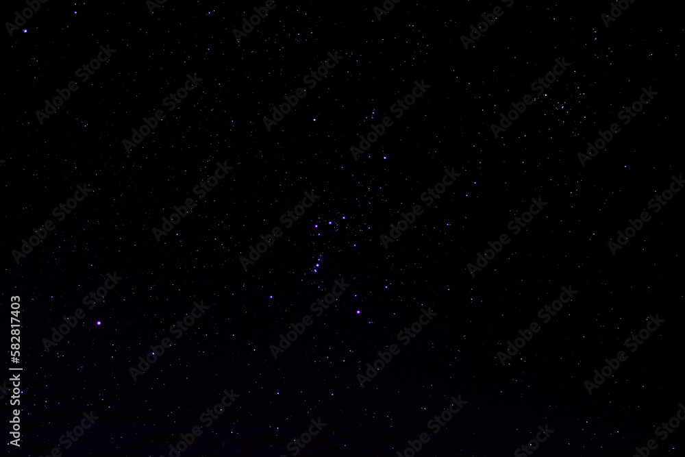 Fototapeta premium constelacion de orion; tauro y can mayor