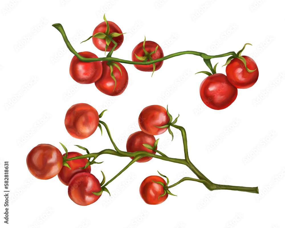 Set of red cherry tomatoes on a twig Set of red cherry tomatoes on a twig