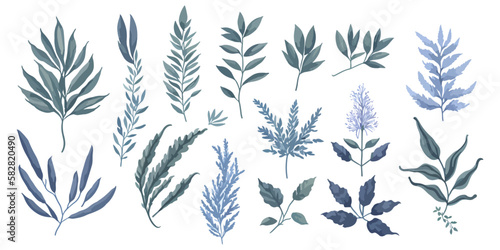 Herb Harvest. A Colorful Vector Set of Flat Herb Elements for Your Design Projects