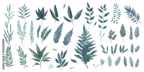 Organic Oasis. A Vector Set of Vibrant Flat Herbs for Your Organic Designs