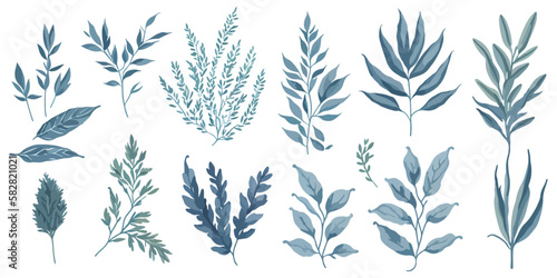 Seasonal Spice. A Vector Set of Colorful Herbs for Any Time of Year © valenia