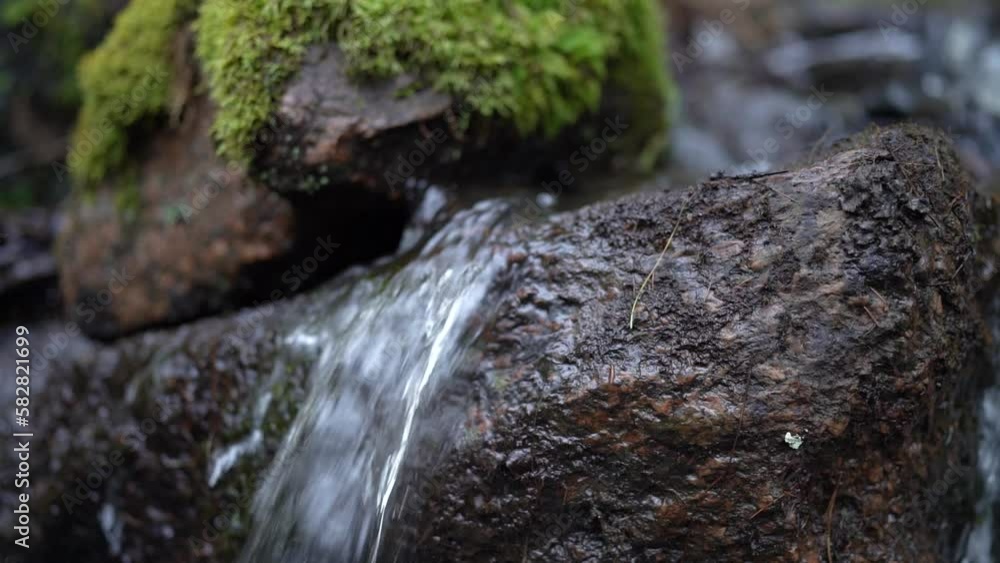 Tranquil Stream in Pristine peaceful Woods of Sweden: Calming Nature Footage for Wellness, Yoga, Stress-relief and sleep Videos. Tranquil Stream in Pristine peaceful Woods of Sweden: Calming Nature Footage for Wellness, Yoga, Stress-relief and sleep Videos.