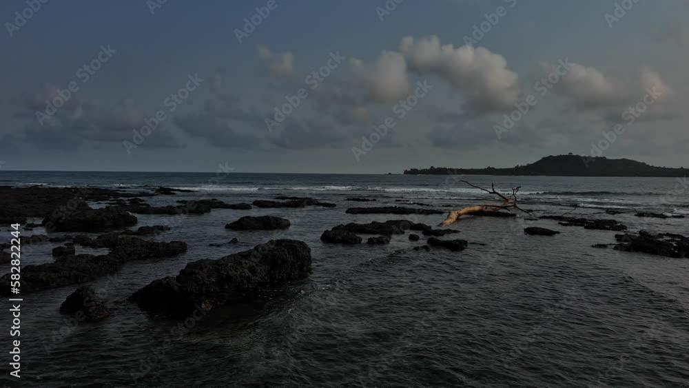 Overfly of beach with volcanic rock and tree branch Overfly of beach with volcanic rock and tree branch