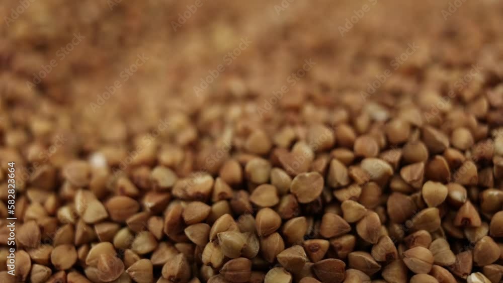 buckwheat groats close-up background food video for cooking buckwheat groats close-up background food video for cooking