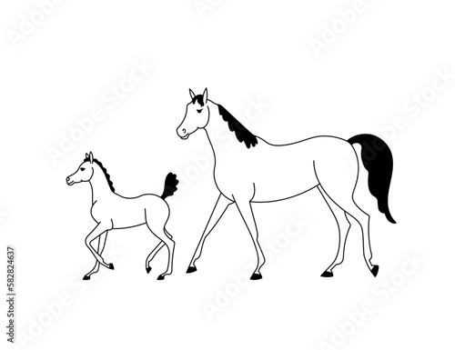 Arabian mare with foal  simple vector illustration