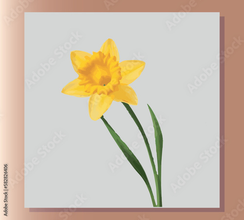 spring daffodils. A beautiful narcissus flower, a spring flower. a flower on a transparent background. Bouquet, bud, petal, blooming. Vector illustration. Egs10 Make primroses for greeting cards 