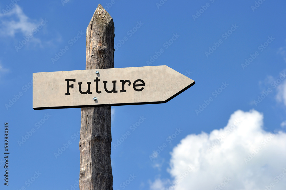 Future - wooden signpost with one arrow, sky with clouds Future - wooden signpost with one arrow, sky with clouds