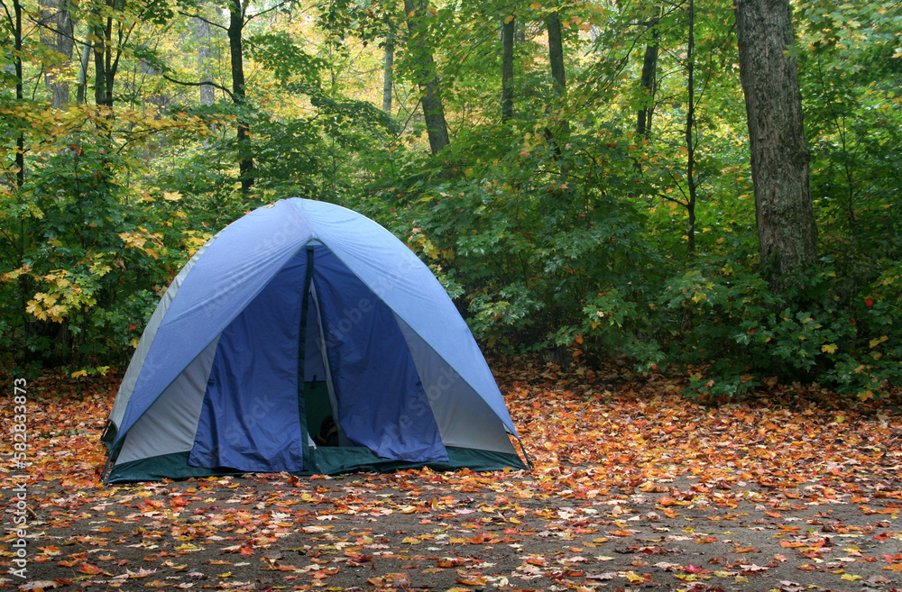 A tent sitting in a campsite in early autumn.