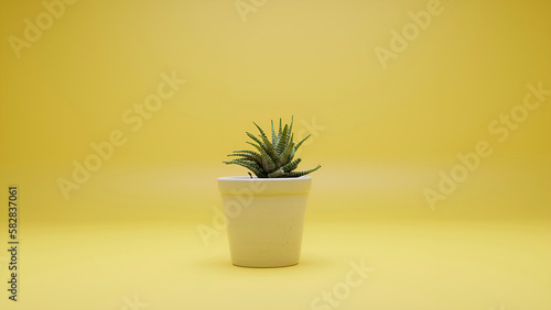 white pot with yellow background