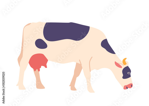 Cow Isolated On White Background. Domestic Mammal With Spotted Coat Providing Milk, Meat, And Other Dairy Products