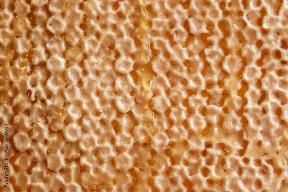 background of honeycomb with honey. the concept of healthy and therapeutic nutrition background of honeycomb with honey. the concept of healthy and therapeutic nutrition