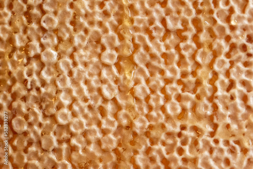 background of honeycomb with honey. the concept of healthy and therapeutic nutrition