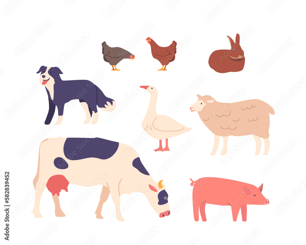 Fototapeta premium Set of Farm Domesticated Animals Icons Cow, Pig, Sheep And Chicken, Dog or Rabbit on Farmyard. Meat, Milk, Or Eggs