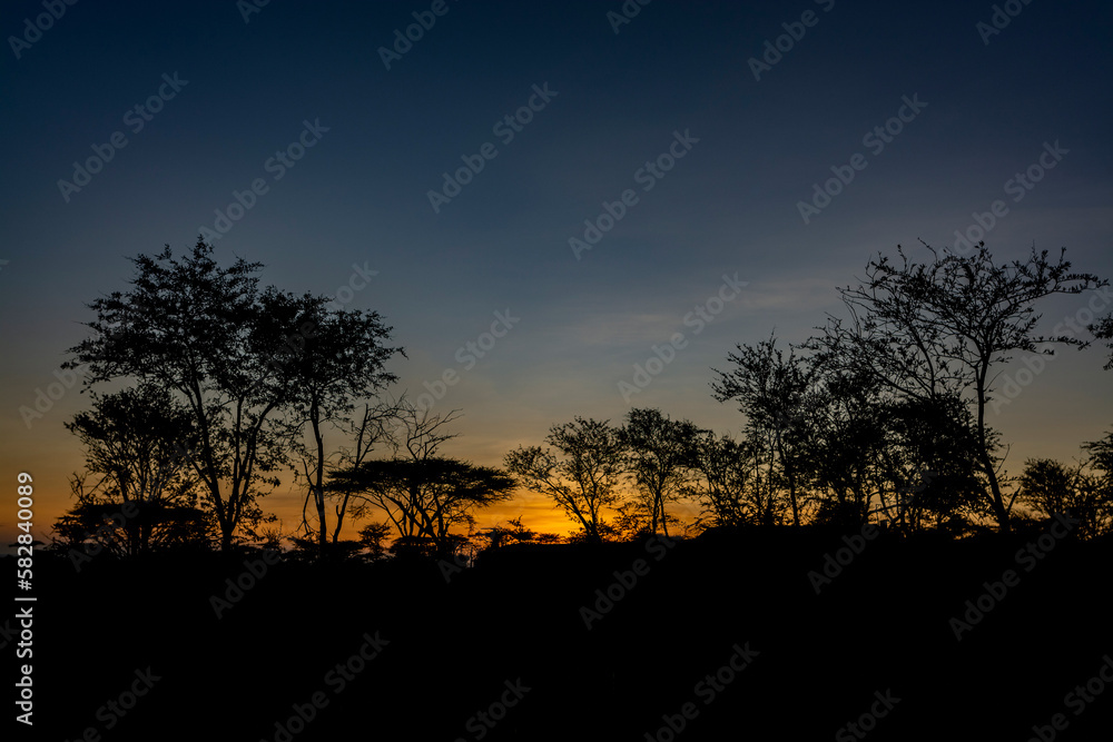 Savannah landscape in Serengeti National Park
