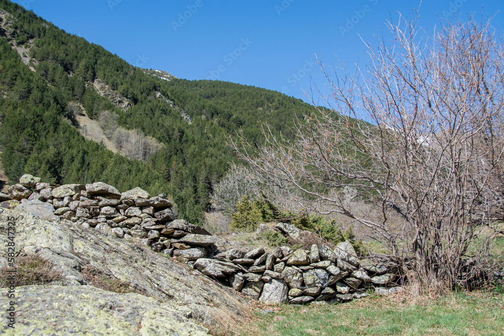 Pyrenees mountains landscape in spring