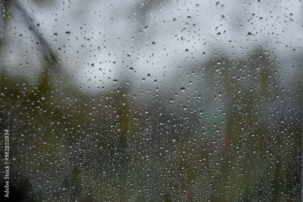 Obraz premium rain on the window