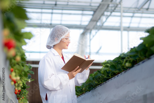 Young asian woman check cultivation strawberry with happiness for research and writing notebook in farm greenhouse laboratory, female examining strawberry with agriculture, small business concept.