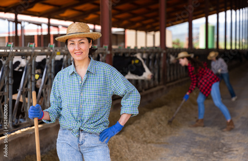 Confident asian woman farmer engaged in breeding of cows posing in open cowshed on summer day © JackF