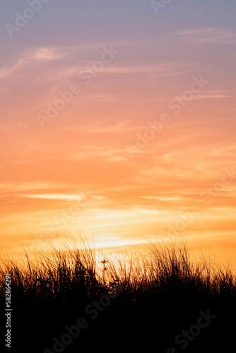 sunset over the field © Caden