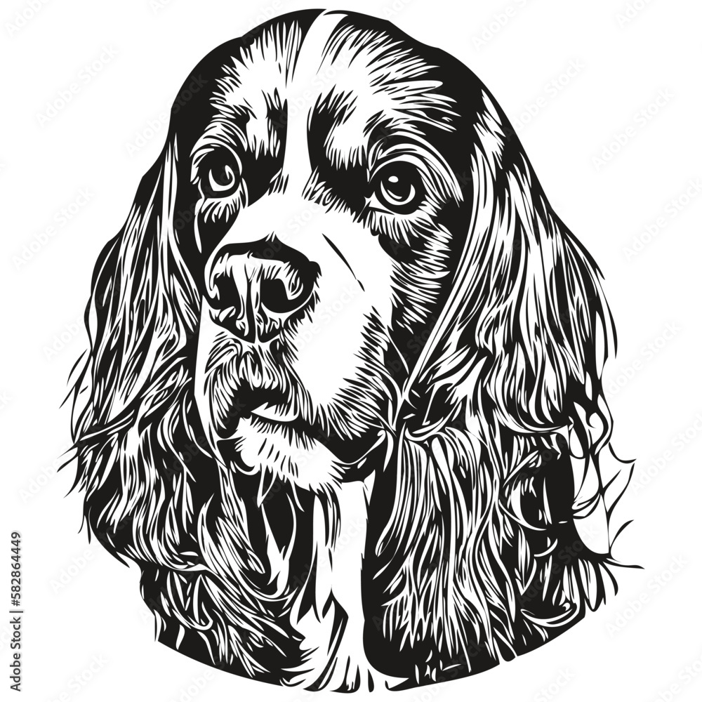 Spaniel English Springer dog line art hand drawing vector logo black ...