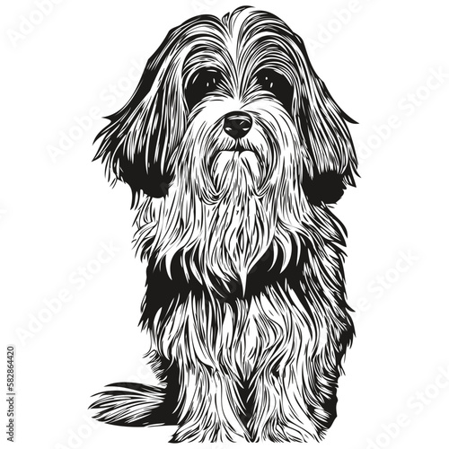 Havanese dog vector illustration, hand drawn line art pets logo black and white