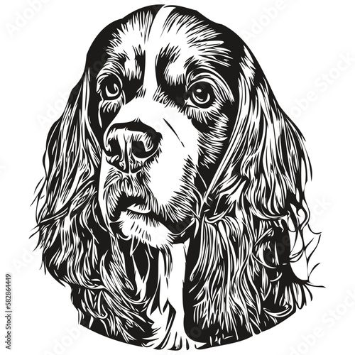 Spaniel English Springer dog line art hand drawing vector logo black and white pets illustration