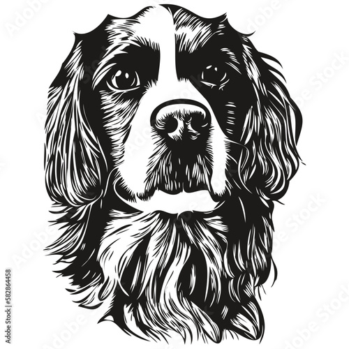 Spaniel English Springer dog logo hand drawn line art vector drawing black and white pets illustration