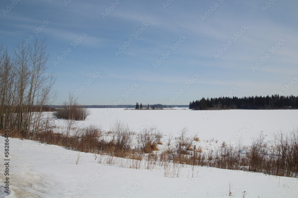 lake in winter, Elk Island National Park, Alberta