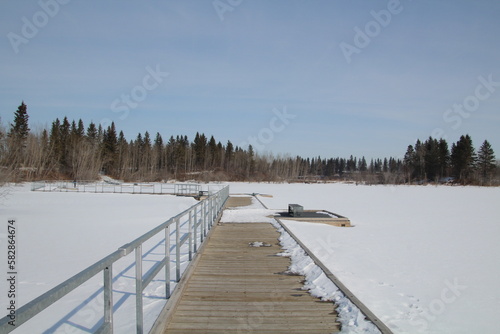 Fototapeta Naklejka Na Ścianę i Meble -  Boardwalk On The Frozen Lake, Elk Island National Park, Alberta