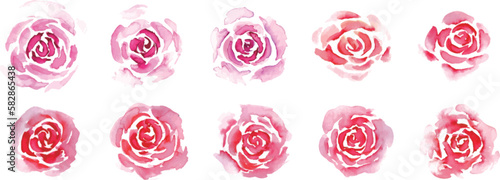 水彩画。水彩タッチの薔薇ベクターイラスト。薔薇の挿絵イラスト。Watercolor painting. Rose vector illustration with watercolor touch. Illustration of rose illustration.