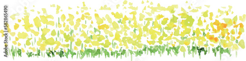 水彩画。水彩タッチの菜の花ベクターイラスト。春の菜の花リアルタッチ挿絵フレーム。Watercolor painting. Watercolor touch rape blossoms vector illustration. Spring rape blossoms realistic touch illustration frame.