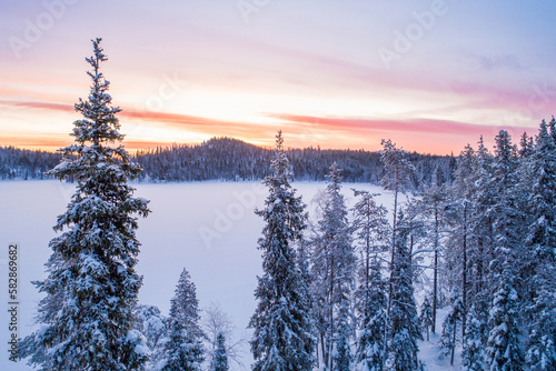 An aerial of a coniferous Northern forest and a hill in the horizon during wintry sunrise near Kuusamo, Northern Finland  © adamikarl