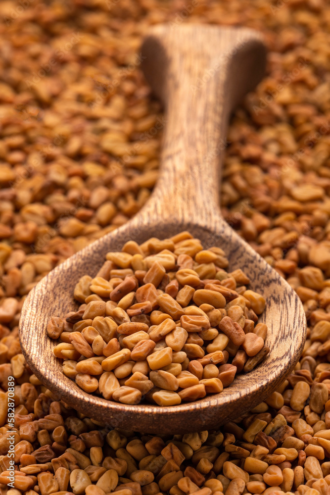 Dried organic fenugreek seeds in the spoon - Trigonella foenum-graecum Dried organic fenugreek seeds in the spoon - Trigonella foenum-graecum