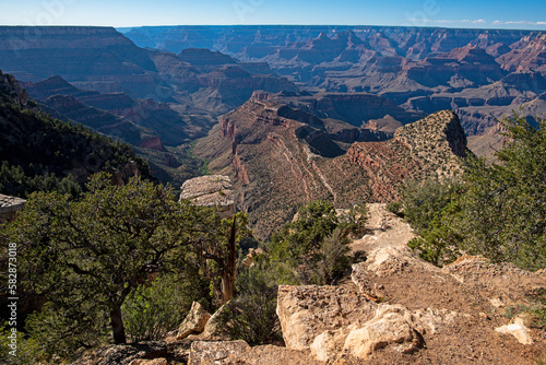 Canyon national park. Canyonlands desert landscape. Canyon area desert in Nevada.