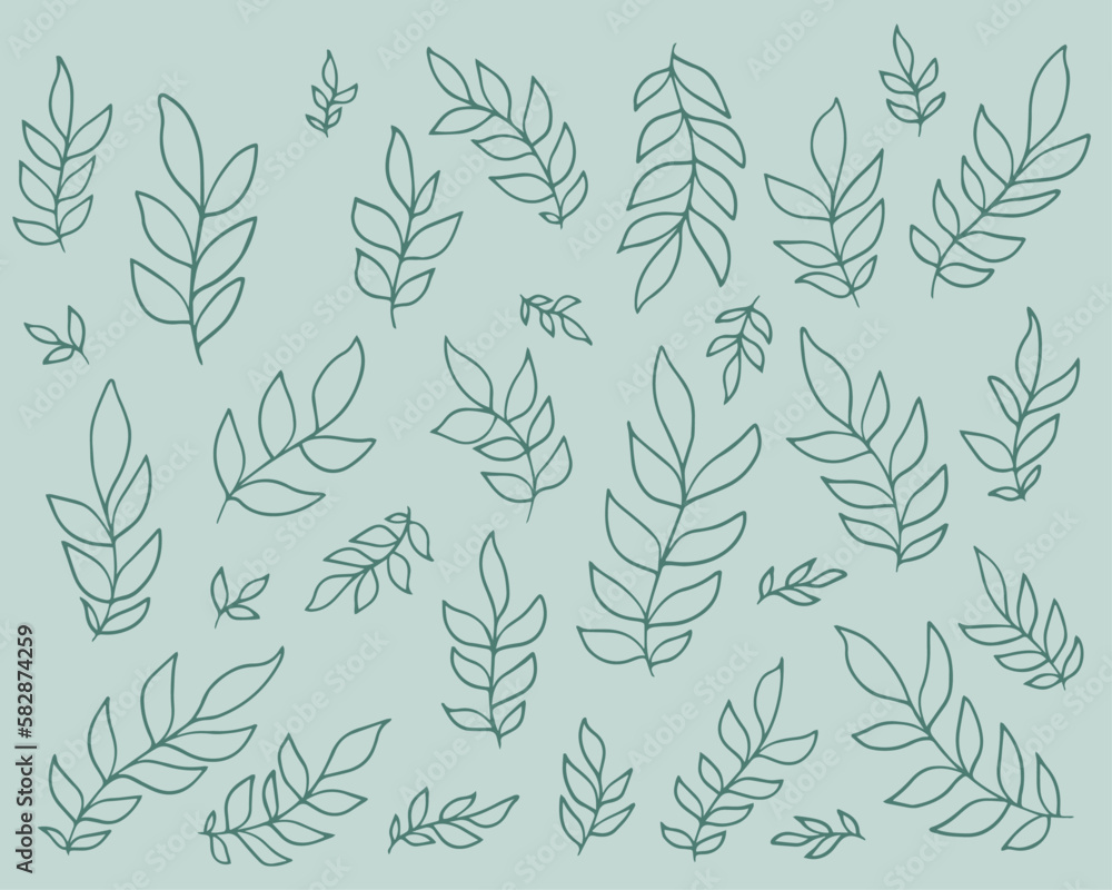 Set of leaves. Hand drawn decorative elements. Organic botanical leaves, plants, floral illustration vectors Set of leaves. Hand drawn decorative elements. Organic botanical leaves, plants, floral illustration vectors