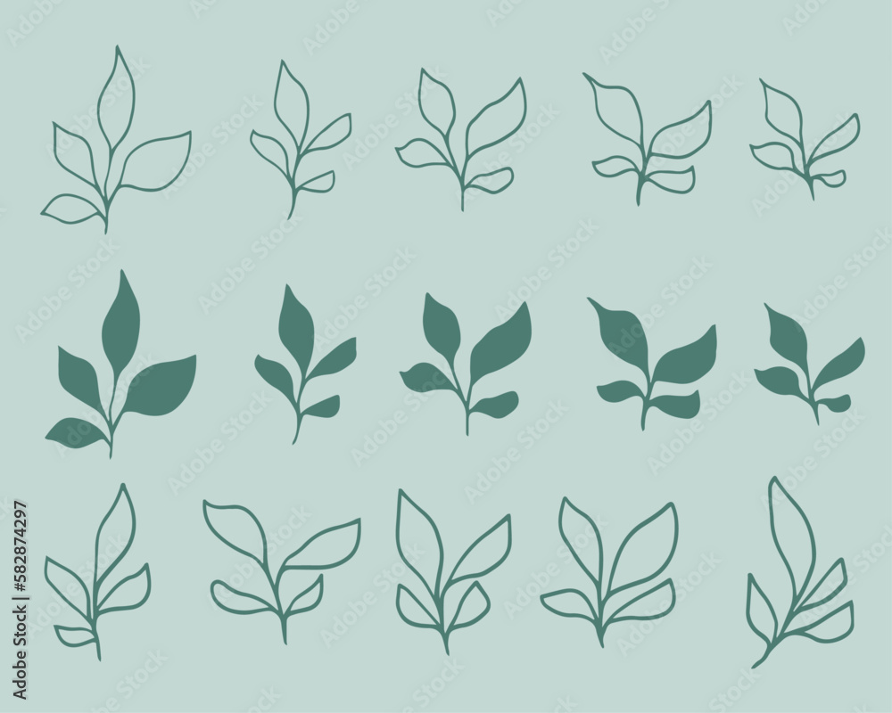 Set of leaves. Hand drawn decorative elements. Organic botanical leaves, plants, floral illustration vectors Set of leaves. Hand drawn decorative elements. Organic botanical leaves, plants, floral illustration vectors