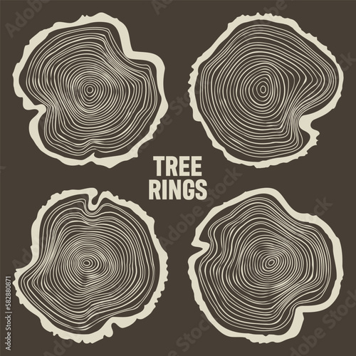 Round tree trunk cuts, sawn pine or oak slices, lumber. Saw cut timber, wood. Brown wooden texture with tree rings. Hand drawn sketch. Vector illustration