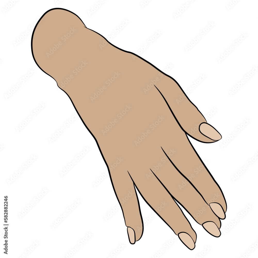 Female hand in elegant gesture. Cartoon style. isolated vector illustration. Female hand in elegant gesture. Cartoon style. isolated vector illustration.