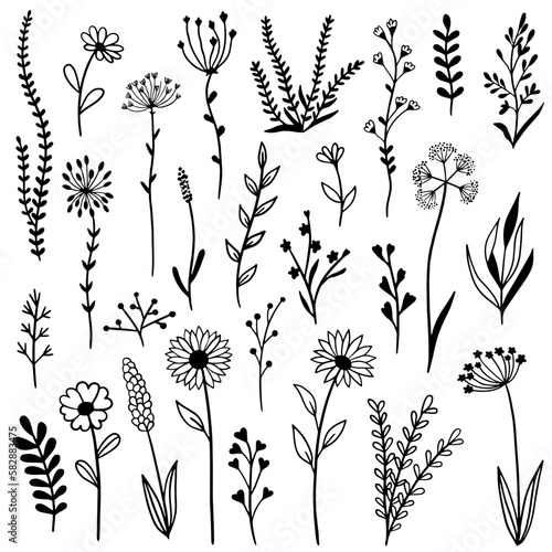 A set of flowers for the sketch. Black sketch of different plants and leaves. Flat Vector Illustration. Glade of sketchy rural flowers