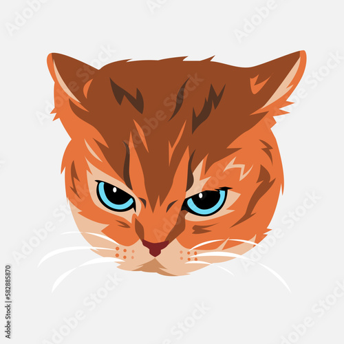cat portrait with angry expression. cute kitten face. flat vector illustration.
