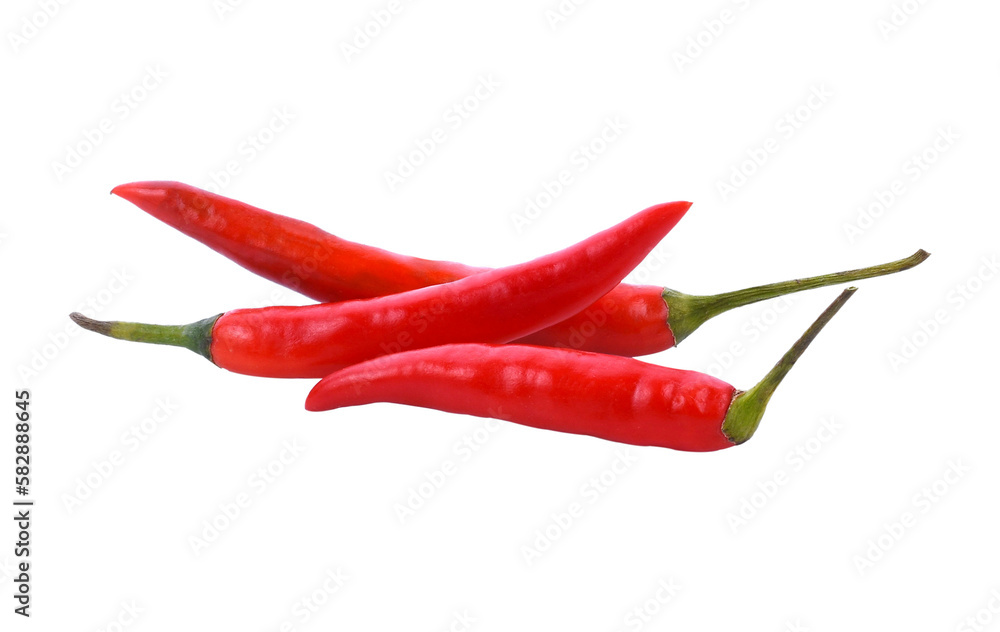 Chili pepper isolated  transparent png