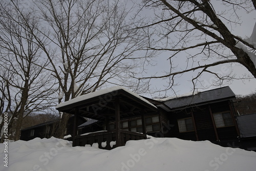 wooden house with snow in the forest