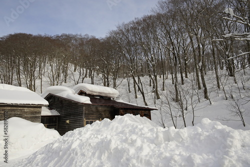 wooden house with snow in the forest