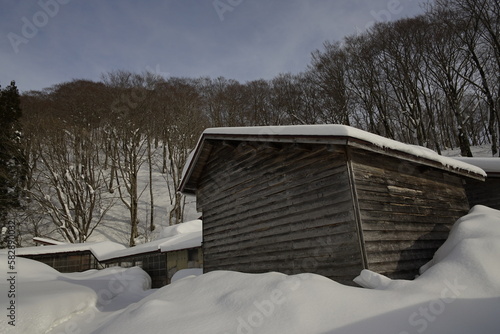 wooden house with snow in the forest