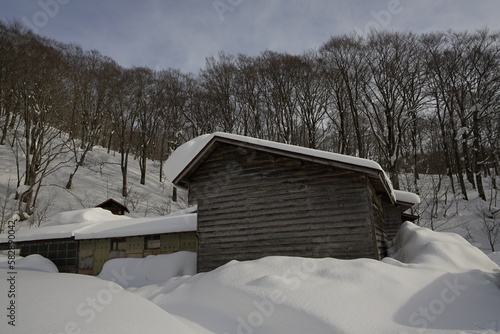 wooden house with snow in the forest