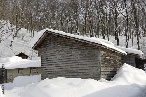 wooden house with snow in the forest