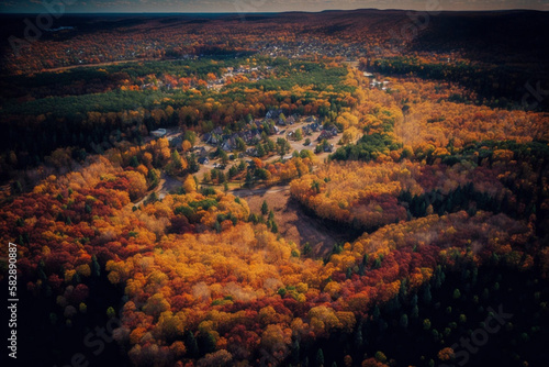 Changing Colors: An aerial illustration of foliage in the fall