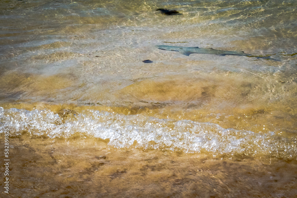 Fernando de Noronha Island - Pernambuco state, Brazil - March 2023